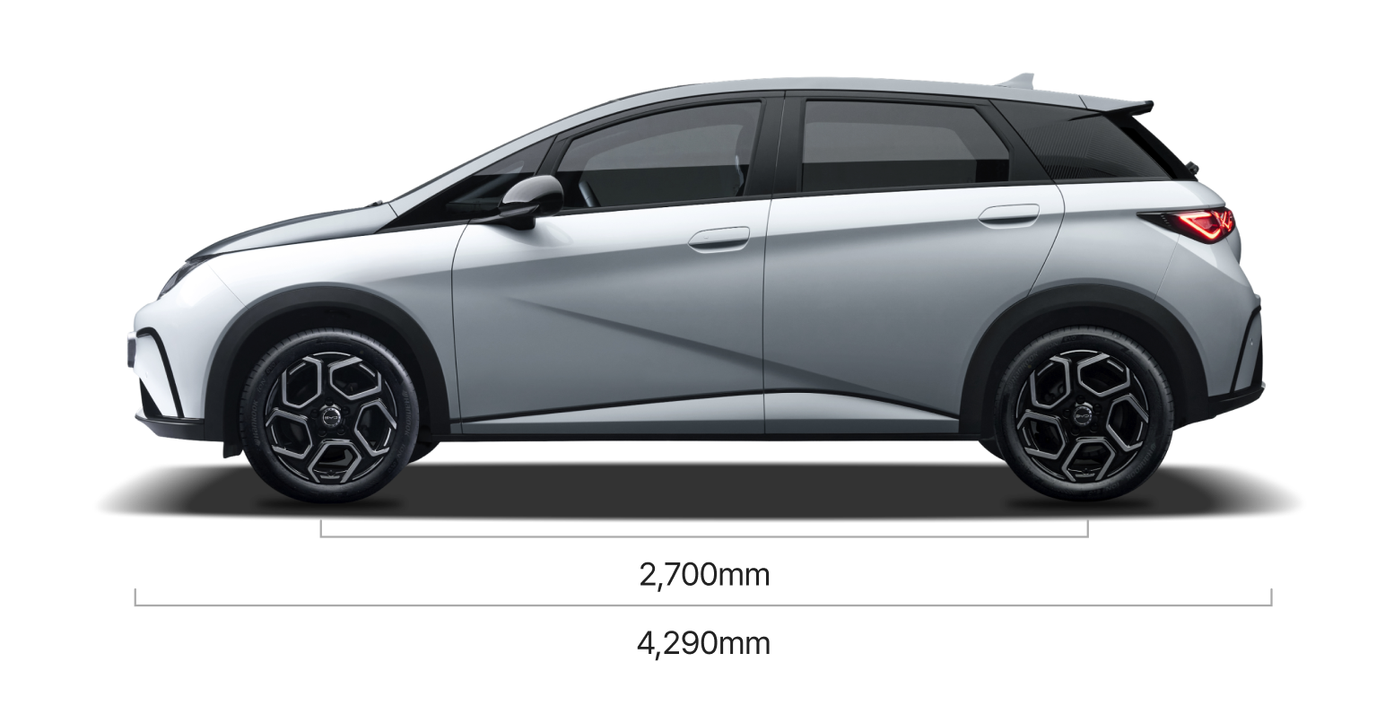 BYD DOLPHIN View